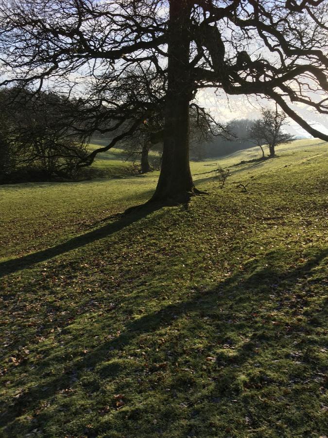 Oscar Park Farm * York
