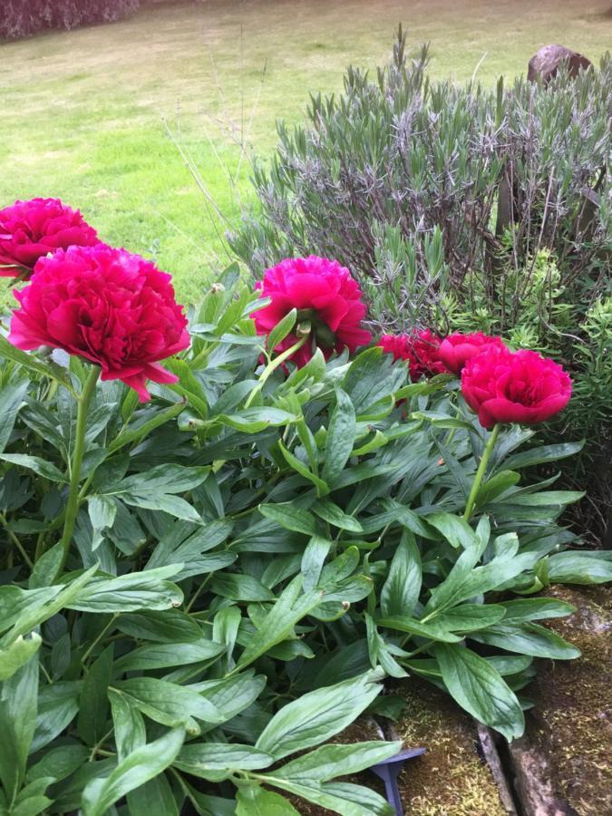 Oscar Park Farm Bed & Breakfast York