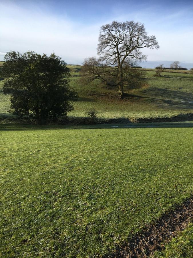 Oscar Park Farm * York