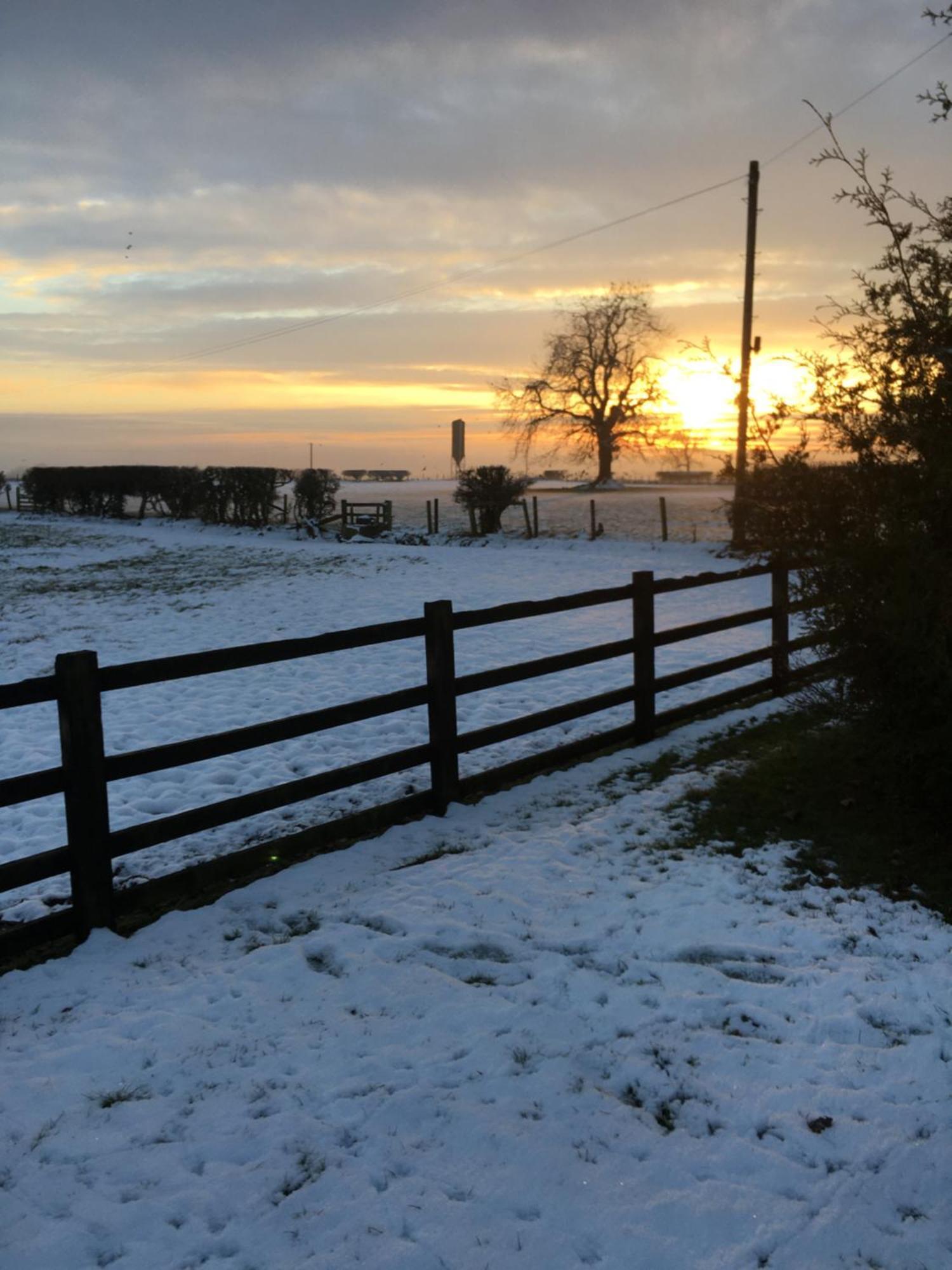 Oscar Park Farm *
